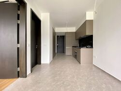 Park Colonial (D13), Condominium #566840841